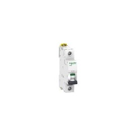 A9F74102 ITM MINIATURA IC60N 1P 2A C.